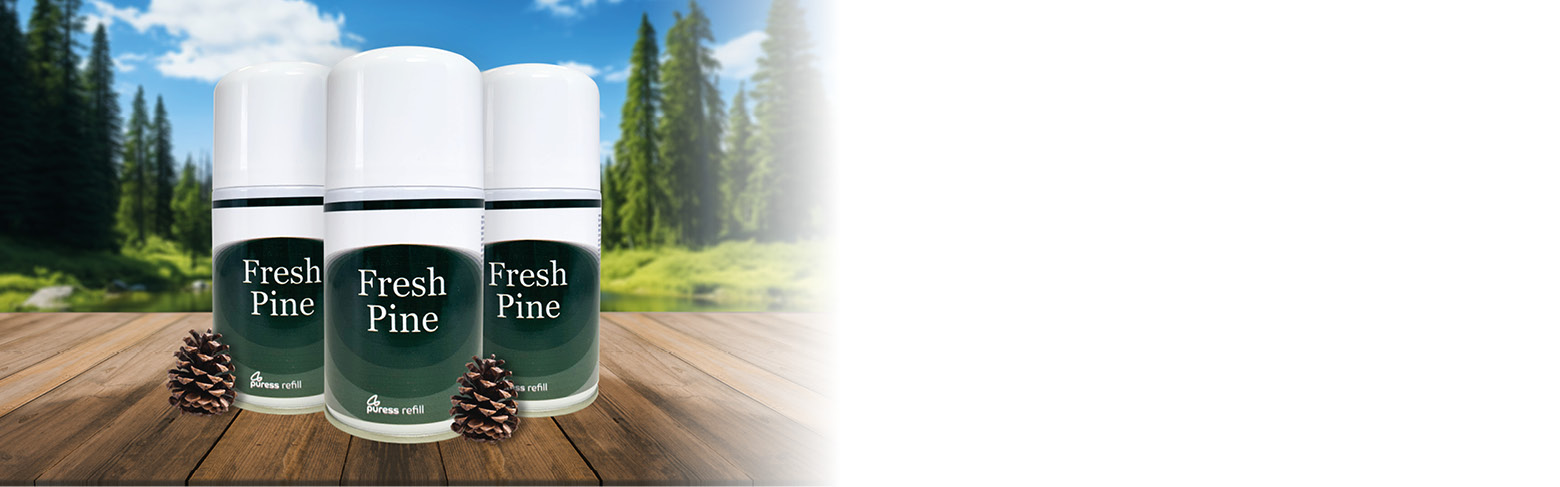 Fresh Pine Fragrance 