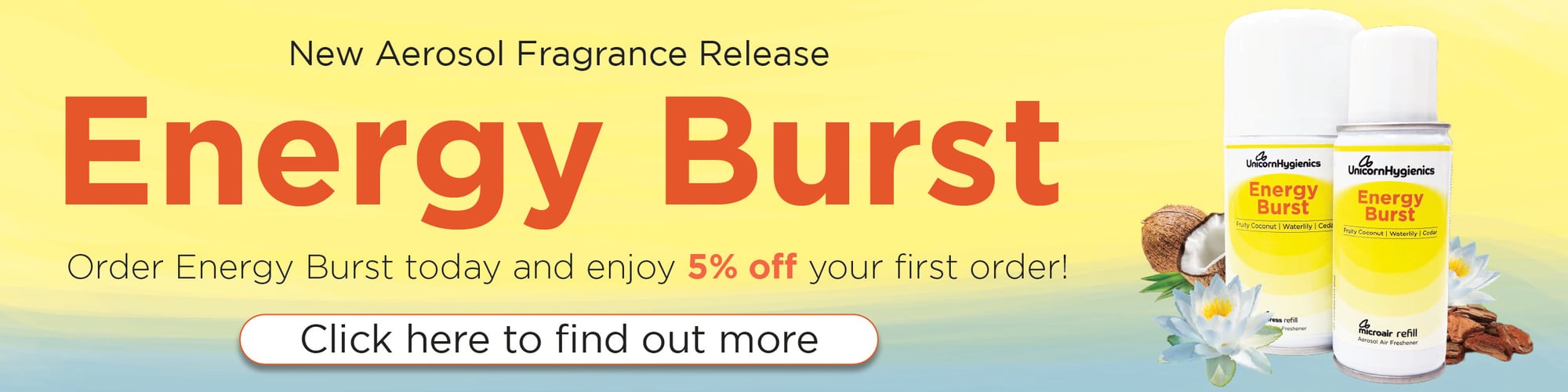 Energy Burst Web Banner Energy Burst Web Banner