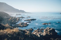 Hygienics Sea Breeze Fragrance